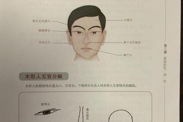 探索木命山头火命的奥秘：命理与人生的深度解析