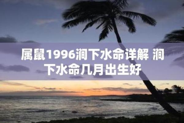 1996年水鼠的命运与性格特点探秘 1996年水鼠的命运与性格特点探秘