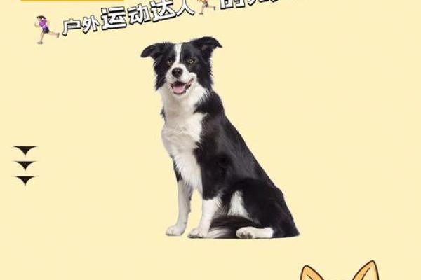 木命与其他命格的婚配指南：最理想的伴侣是？