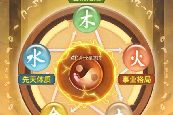 水命与土命适合养什么花？让我们一探究竟！