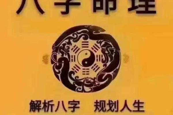 1993年1月8日出生的命运分析与人生规划 1993年1月8日出生的命运分析与人生规划