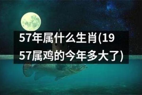 2005年属鸡男子的命运与人生解析：从勤奋中见奇迹