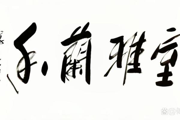 品味命之母：初尝带来的心灵洗礼与感悟
