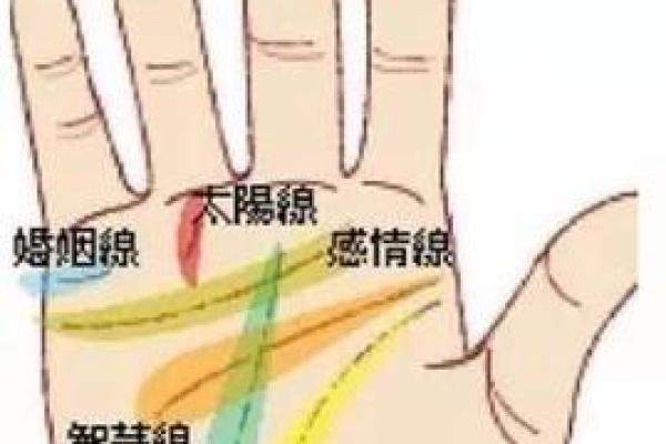 探索女性手掌纹理：解析命运与幸福的奥秘