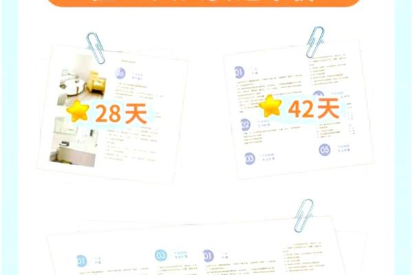 阴历12月出生的人命运解析：从性格到运势的全方位探索