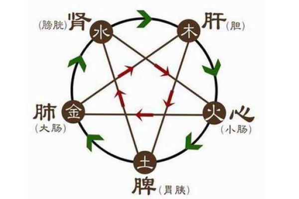 探秘1988年出生的命理：土命还是木命？解密你的五行运势！