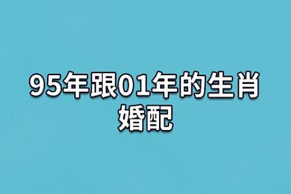 水命人最佳婚配指南：寻找命中注定的另一半