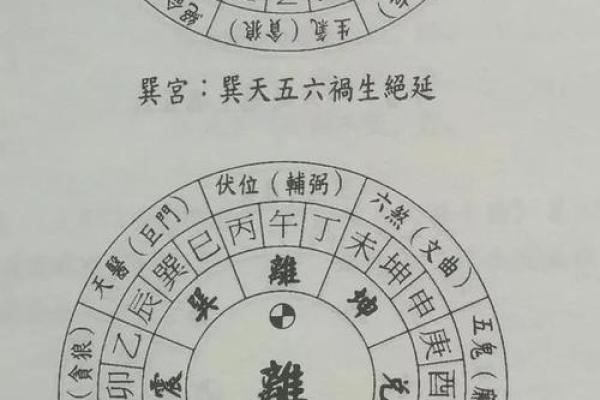 东四命解析:如何掌握你的命运与人生优势 东四命解析:如何掌握你的命运与人生优势