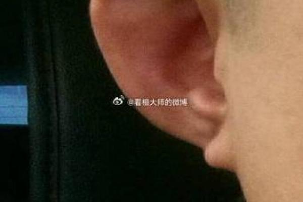 探寻天罗地网命：命运的神秘与人生的指引