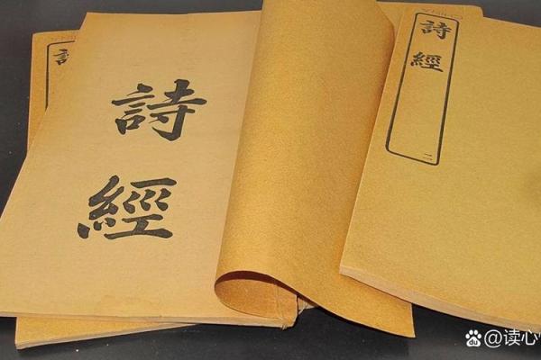 解密数字1974115的命理奥秘:探索其深层含义与生活启示 解密数字1974115的命理奥秘:探索其深层含义与生活启示