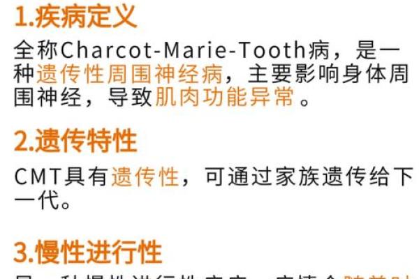 2000年龙命的人：揭开命运的神秘面纱，探索缺失的元素与其影响