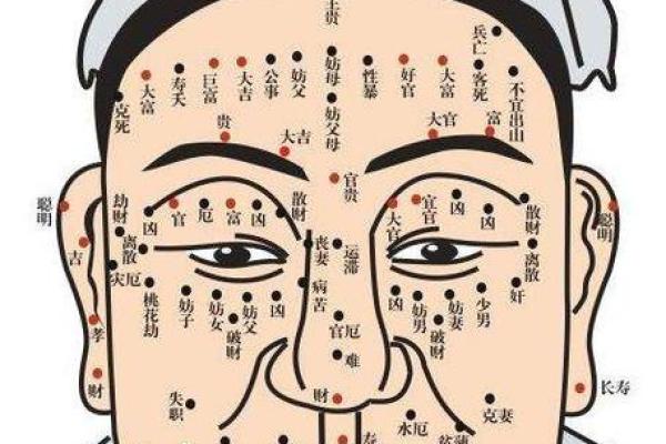 182年属狗的命运与性格解析：揭开命理的神秘面纱