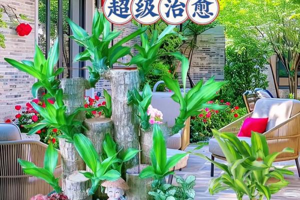 金命水命养什么绿植更合适，提升运势与生活幸福感！