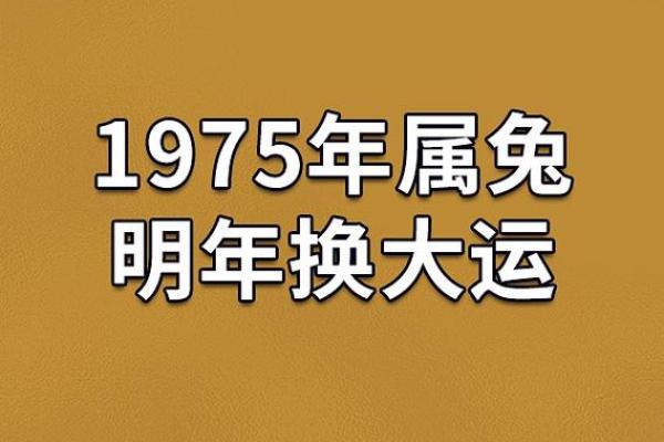 兔年孩子命理解析:2023年出生宝宝的性格与未来 兔年孩子命理解析:2023年出生宝宝的性格与未来