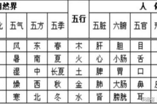 火命与五行中的相生相克:最佳命理搭配解析 火命与五行中的相生相克:最佳命理搭配解析