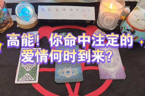 一九六九属狗的命理解析：命中注定的性格和机遇