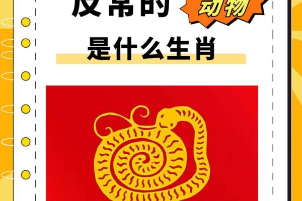1916年龙年命主运揭秘，探索性格与未来的奇妙联系