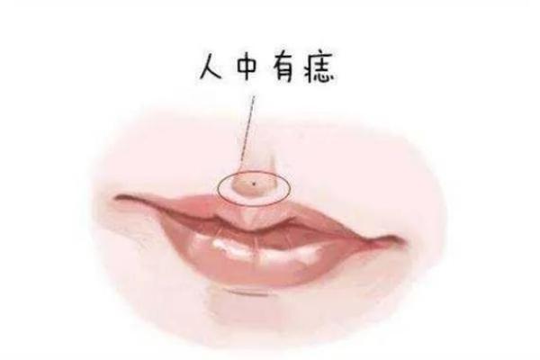 相学中鼻孔外翻的命理解析与性格特征 相学中鼻孔外翻的命理解析与性格特征