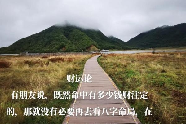 1997年出生的人命运解析:揭秘你的命与运 1997年出生的人命运解析:揭秘你的命与运