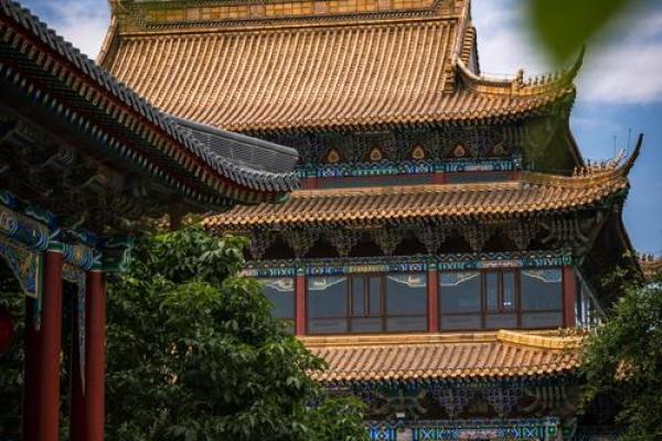 手上褶子多？揭秘人生背后的秘密与命运的轨迹