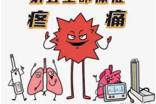 人体生命体征的奥秘：健康的窗口与预警系统