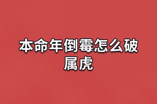 1986是虎年，属虎人的命运与性格探析