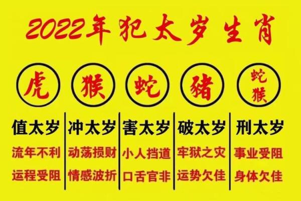 2022年属相命理全解析:揭开你与命运的秘密之门 2022年属相命理全解析:揭开你与命运的秘密之门