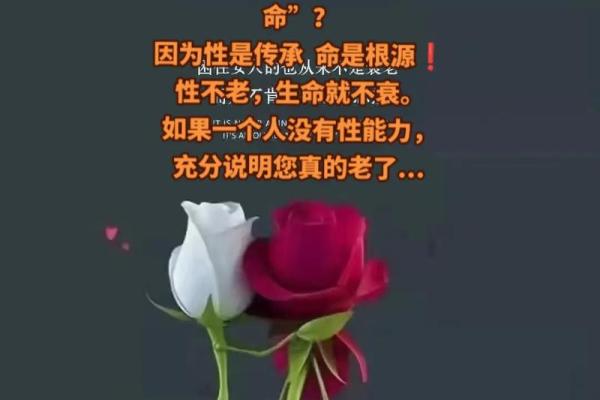 木命与哪些命最旺夫,提升生活幸福感的秘密! 木命与哪些命最旺夫,提升生活幸福感的秘密!