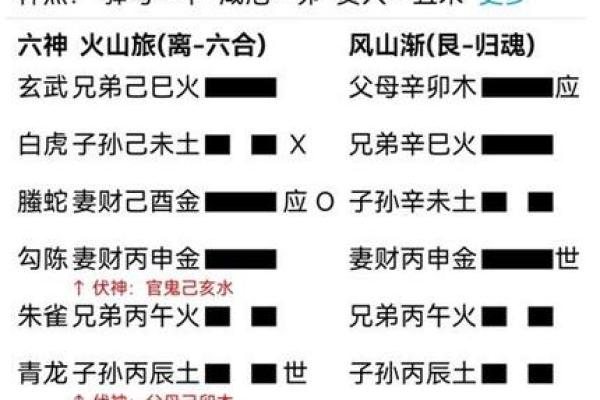 1982年出生者的命理分析与人生启示：从卦象看人生机遇与挑战