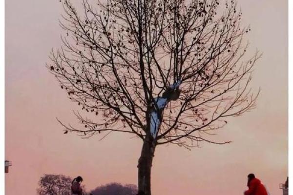 一生平坦命格解读:如何看待平凡人生中的美好与机遇 一生平坦命格解读:如何看待平凡人生中的美好与机遇