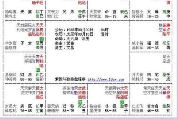 命理学中的命主解析:揭示你生命中的独特角色与意义 命理学中的命主解析:揭示你生命中的独特角色与意义