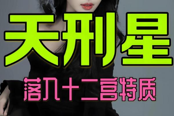命理学中的命主解析:揭示你生命中的独特角色与意义 命理学中的命主解析:揭示你生命中的独特角色与意义