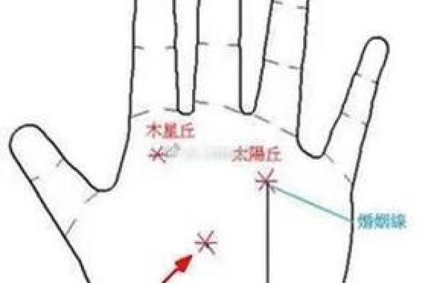 探索1985年出生者的命运与人生之路，解读命理与成长历程