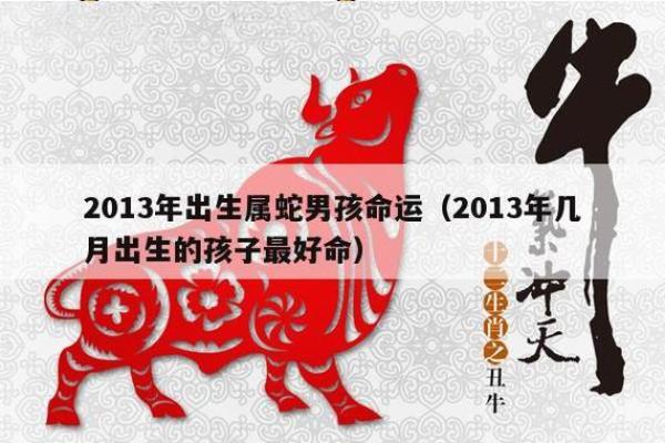 1965年蛇男命运解读:智慧与魅力的结合之道 1965年蛇男命运解读:智慧与魅力的结合之道