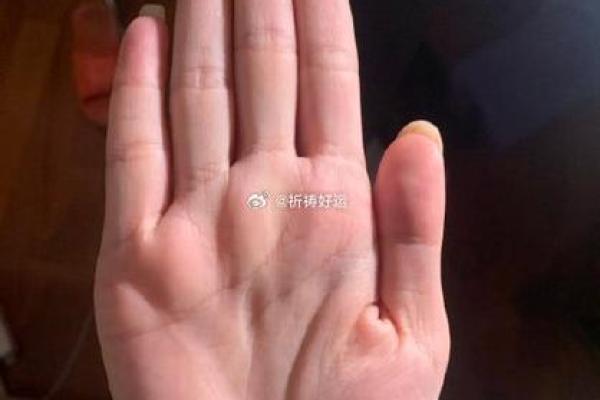 深度解读：1976815这一神秘数字所蕴含的命运密码