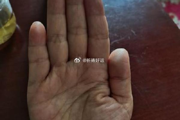 探秘19840407的命运密码：你的独特人生之旅