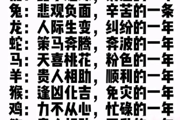 兄弟命理揭秘：你我命中注定的缘分与运势