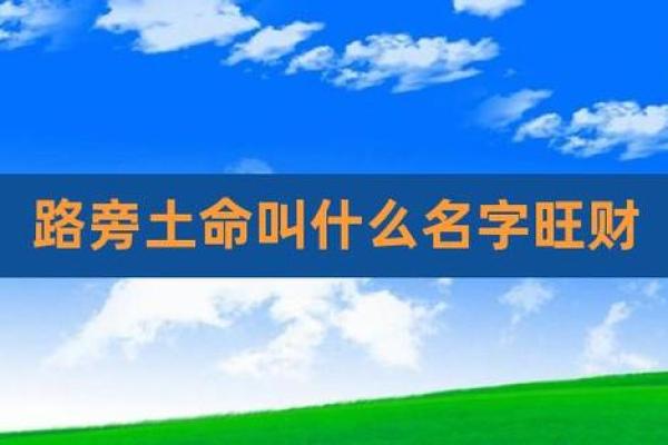 1998年土命与最佳命相配的深度分析