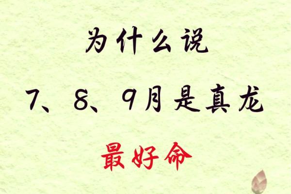 1988年龙年出生的人生运势及命理解析 1988年龙年出生的人生运势及命理解析