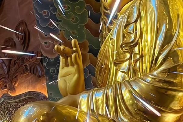 危机中的机遇：从艰难中探寻成功之路
