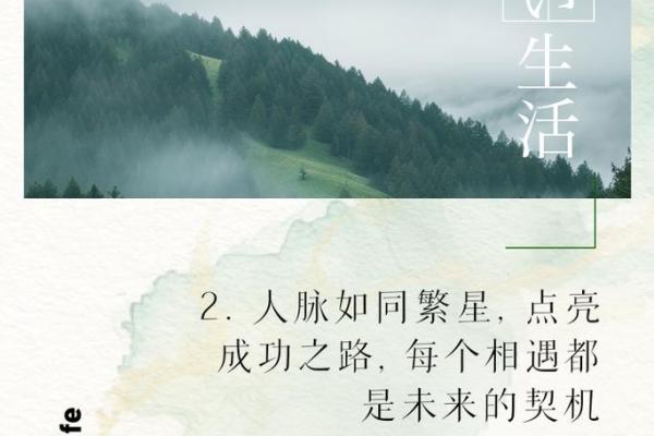 危机中的机遇：从艰难中探寻成功之路