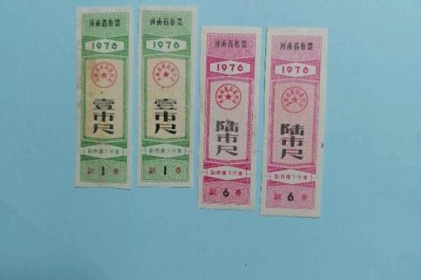 19767年的命运秘密：探索时间的交织与人生的选择