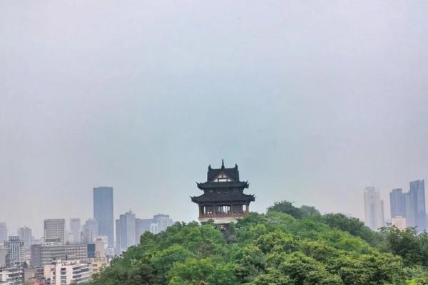 1969年正月25日出生的命运与生命之旅
