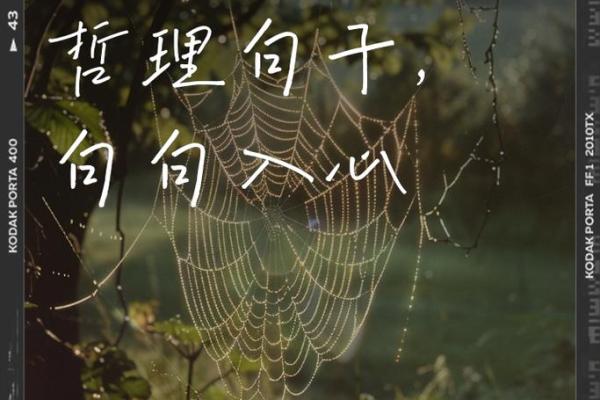 属鼠土命:探秘鼠年的独特命理与人生旅程 属鼠土命:探秘鼠年的独特命理与人生旅程