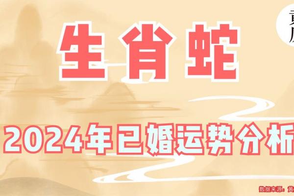 2018年生肖命理解析：揭示你的命运与运势的秘密