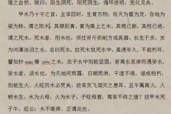 解读“命也是命”：骨姐人生哲学的深层寓意
