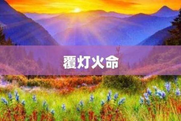 87年属兔男火命：火之兔的命理与人生启示