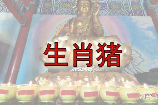22岁属猪的命运探秘:运势、性格与人生方向 22岁属猪的命运探秘:运势、性格与人生方向
