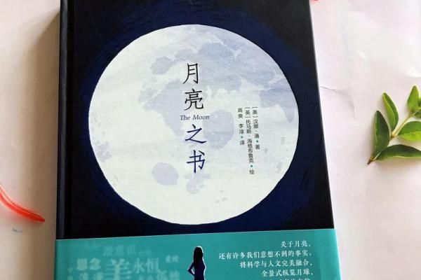 命理之道：生肖与数字的神秘关联探秘
