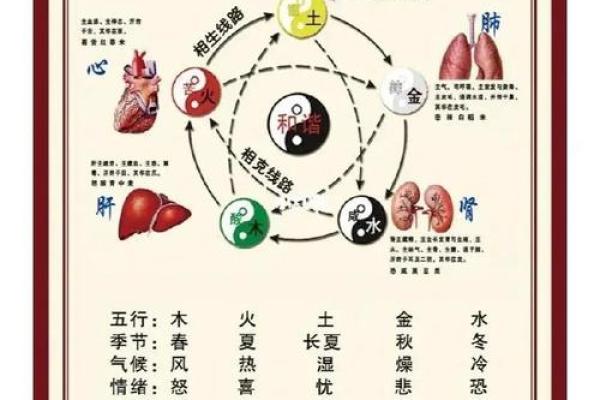 探寻五行命理：人们的命运与五行之间的秘密关系